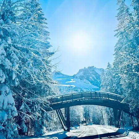 Διαμέρισμα Amazing River And Mountain View Kandersteg