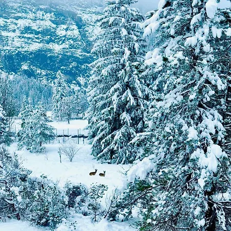 Amazing River And Mountain View