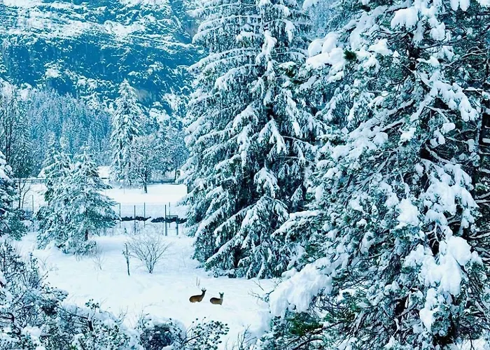 Amazing River And Mountain View