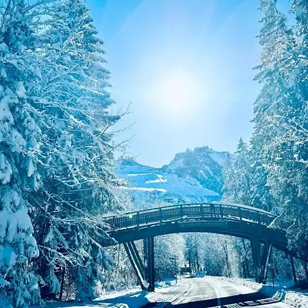 Appartement Amazing River And Mountain View Kandersteg